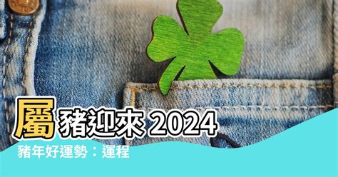 屬豬財位|暴富！2024甲辰年屬豬「正財橫財」大爆發 紅鸞星照耀：易與異。